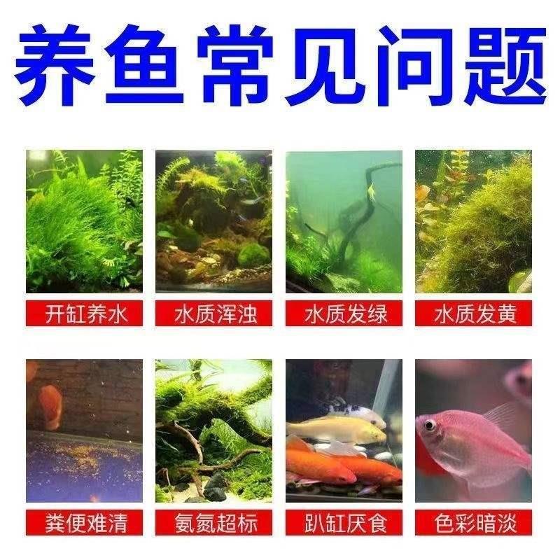 鱼缸粪便清理鱼缸净水剂一滴清除氯杀菌去黄水浑水净化水质免换水 - 图0