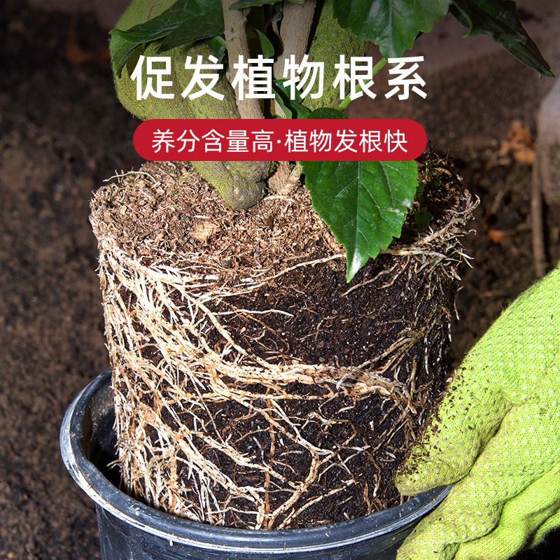 花土种花专用的营养土养花盆栽花通用绿箩植物土壤种植土泥土家用 - 图2