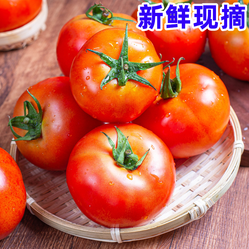 云南西红柿新鲜水果普罗旺斯沙瓤西红柿自然熟大番茄生吃草莓柿子