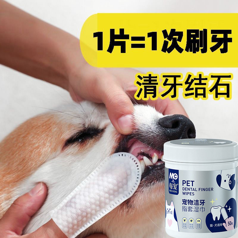 每宠宠物洁牙指套湿巾一次性手指牙刷猫狗清洁口腔牙垢湿纸巾50支,淘宝优惠券,粉丝福利购,淘宝优惠卷