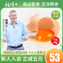 Dr. Yang Eggs Freshly Found Hair Newborn Eggs Zhengzong Alpine Bulk Breeding Ground Eggs Grass Eggs 40 Pieces