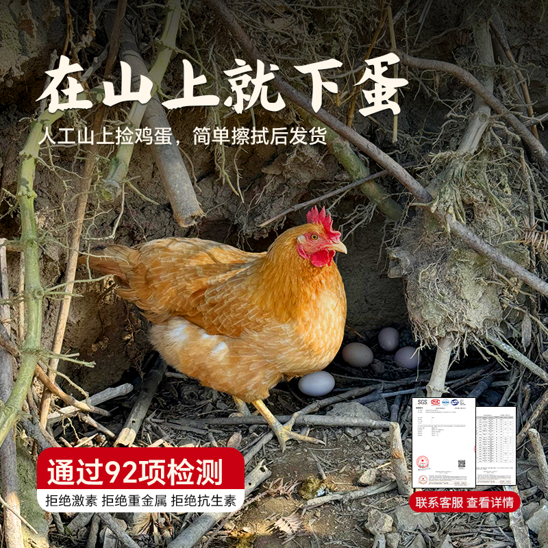 杨博士生鲜土鸡蛋童子鸡皖南深山散养农村家走地竹林草鸡新鲜整只
