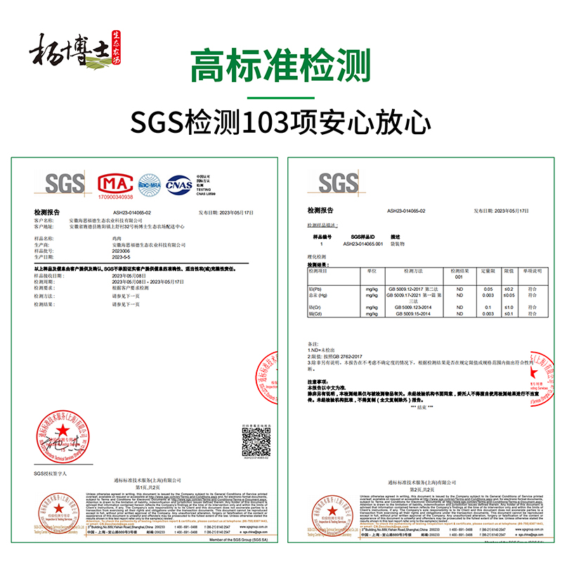 杨博士土鸡老母鸡月子鸡走地鸡草鸡安徽皖南高山散养新鲜现杀整只-图3