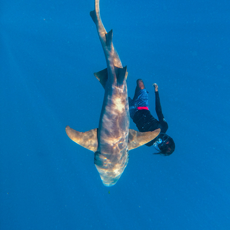 �����Ϻ��ɶ�������������6/7������ת������Ʊ �¼��¼�¡������ 3699Ԫ