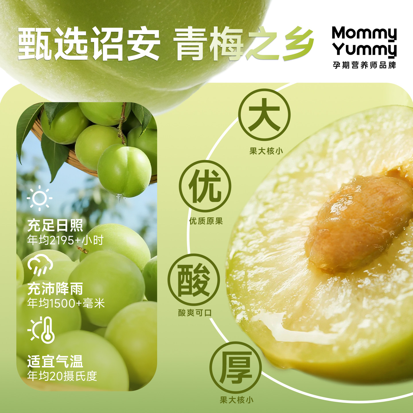 MommyYummy孕妇零食孕吐酸味梅子干孕期营养话梅饼孕反果脯缓解,淘宝优惠券,粉丝福利购,淘宝优惠卷