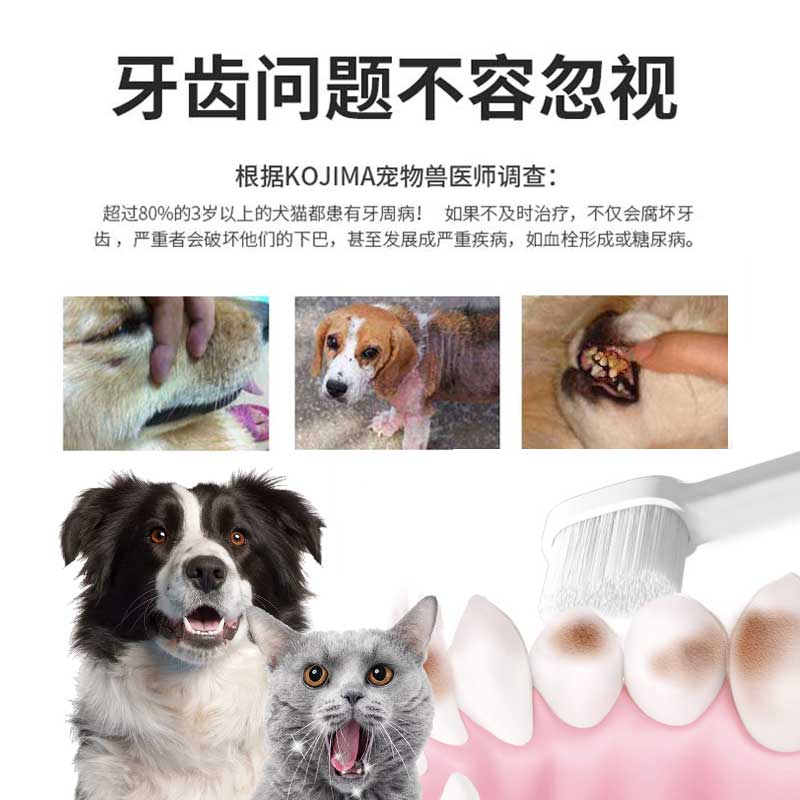 KOJIMA狗狗猫咪牙膏牙刷套装刷牙小型犬除口臭猫宠物牙齿清洁用品 - 图0