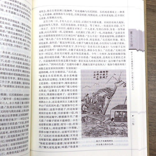 【全2册绣像精装本】野叟曝言书籍 - 图3