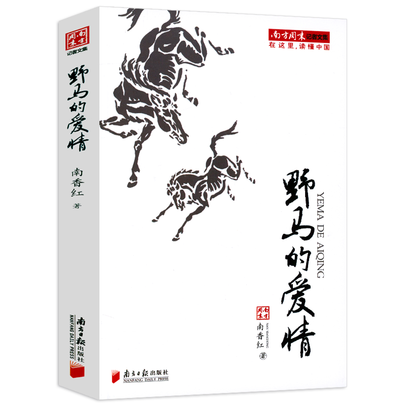 【共4册】南方周末记者文集大地孤独闪光+国家与教堂+中国的心病+野马的爱情 书籍 - 图3