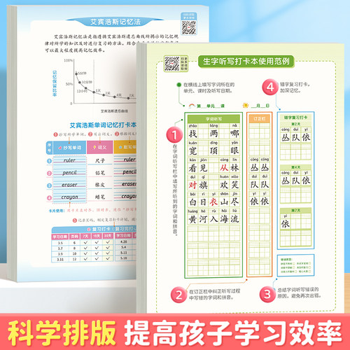 【艾宾浩斯生字听写本】每日听写本小学生专用语文一年级拼音本二年级三年级四五六年级初中英文单词英语生字词语小学默写本作业本 - 图1