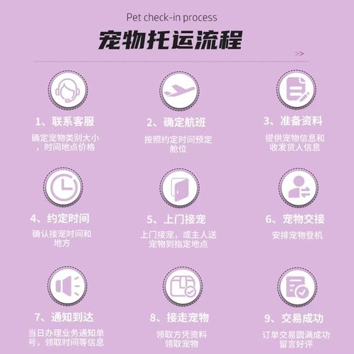 宠物托运猫咪狗狗自营专车宠物托运邮寄运输服务安全快捷宠物托运 - 图2