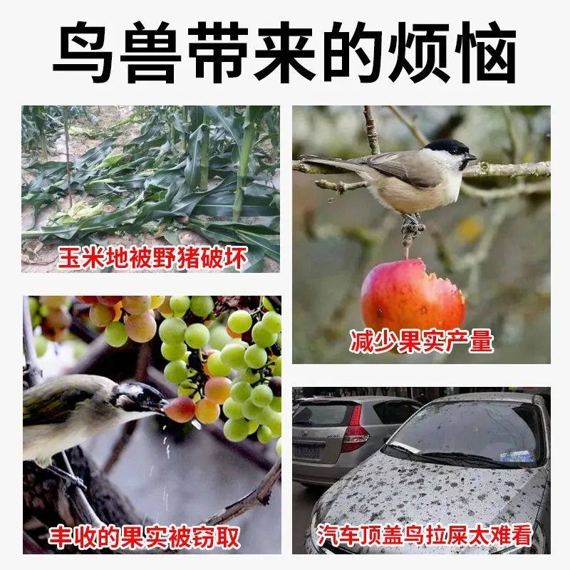 吊带王悬挂驱鸟包驱鸟袋颗粒复合香精包果园农田吓鸟赶鸟护农专用,淘宝优惠券,粉丝福利购,淘宝优惠卷