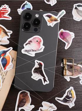ttle finch chirping box set stickers cute cartoon animals ha