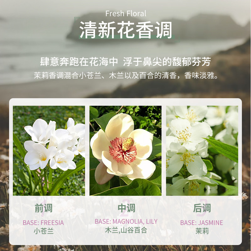  DearDoer海外身体磨砂