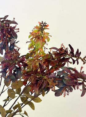 仿真花刺桐秋色花材复