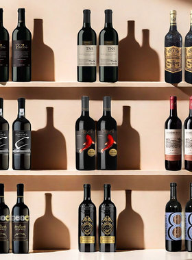 酒柜装饰品摆件仿真红酒橱柜展厅