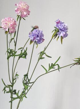 禹涵仿真蓝盆花轮峰菊绢花