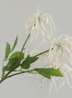 3头室内植物婚庆紫藤装饰花