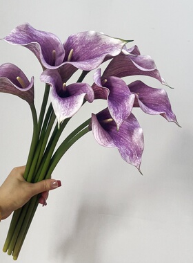 VA马蹄莲仿真水芋假花海芋百合