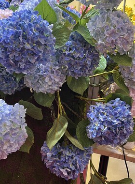 禹涵新款3D丝印绣球花田园仿真花