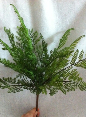 小号短杆波斯蕨 仿真蕨叶波斯叶塑料草水草植物墙背景造景配草
