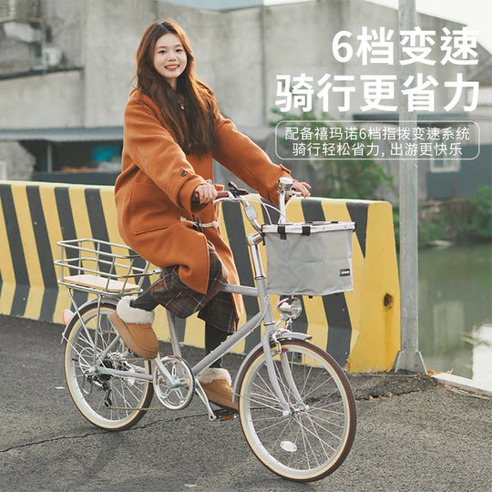 Bicycle college student campus variable speed retro style