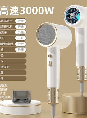 吹风机家用大功率理发店负离子护