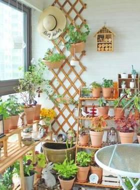 封闭阳台花架阳台空间利用放花的置物架植物放置架装饰改造小花园