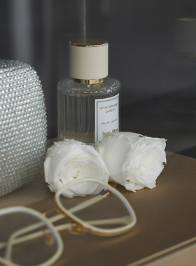 藕粉色衣帽间棕色女士软装饰品