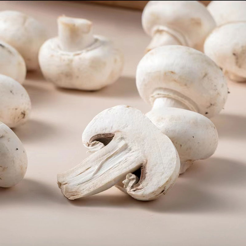【槿馐】口蘑500g 新鲜白蘑菇口菇双孢菇煲汤蔬菜食用菌菇5件包邮 - 图1