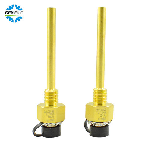 恩达正品EDWDP-19/21油压传感器变送器PT100探头 - 图2