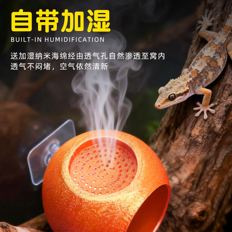 守宫躲避屋爬宠睫角攀爬造景豹纹蜥蜴蛋形吸盘洞穴悬挂加湿树栖窝,淘宝优惠券,粉丝福利购,淘宝优惠卷