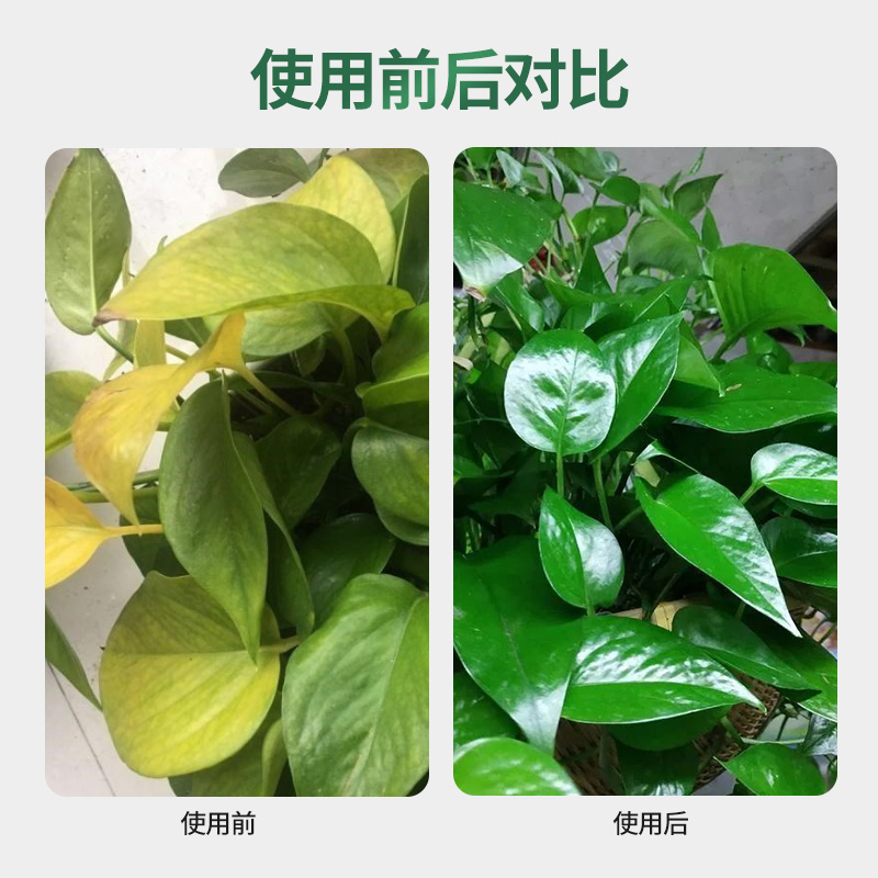 绿萝专用营养液花肥料植物盆栽家用绿箩吊兰水土培养花通用液体肥 - 图0