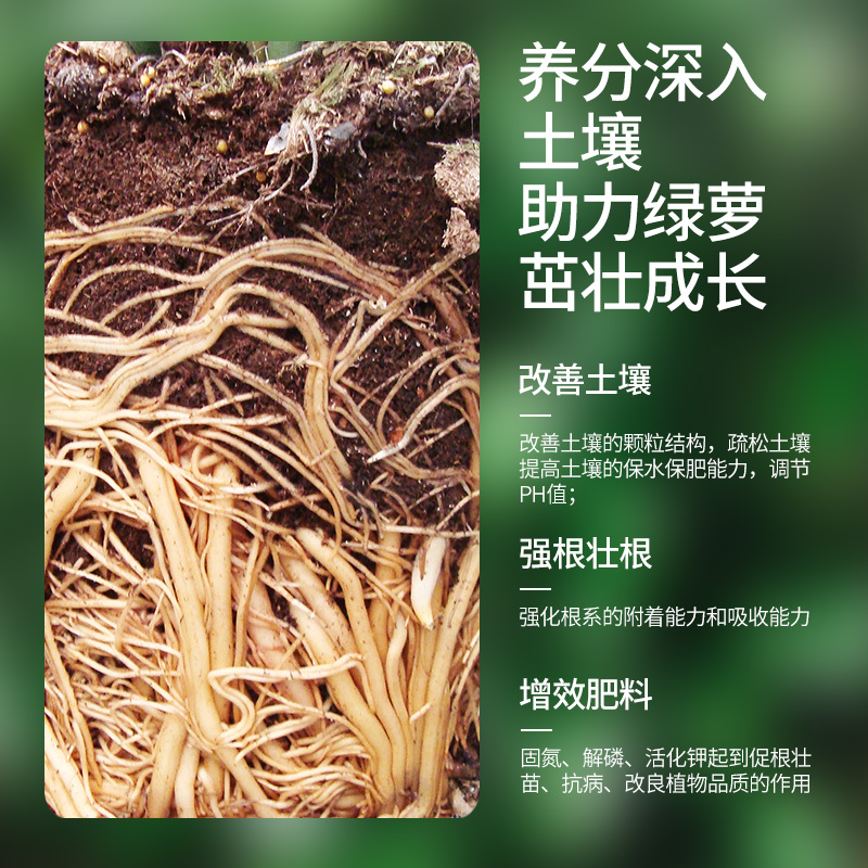 绿萝专用营养液花肥料植物盆栽家用绿箩吊兰水土培养花通用液体肥 - 图2