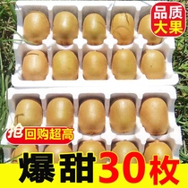 Sichuan Yellow Heart goosebumps Chilean gold fruits Fresh should season pregnant women Fruit Whole Boxes Big Fruit Chic Exotic Fruit Macaque Peach