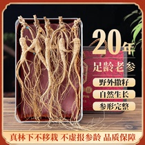 Long White Mountain Ginseng Ginseng Wild Hills of Origin Direct Sale 20 THREE DRY GOODS ZHENG ZONGLIN NEXT TO THE WHOLE BRANCH MOUNTAIN EXHIBI BOX CLOTHING