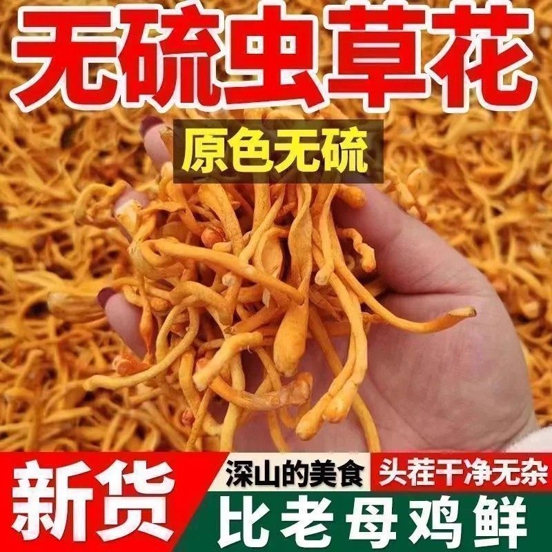 虫草花干货新鲜菌菇500g无硫农家特产孢子头食用菌煲汤商用蛹虫草,淘宝优惠券,粉丝福利购,淘宝优惠卷