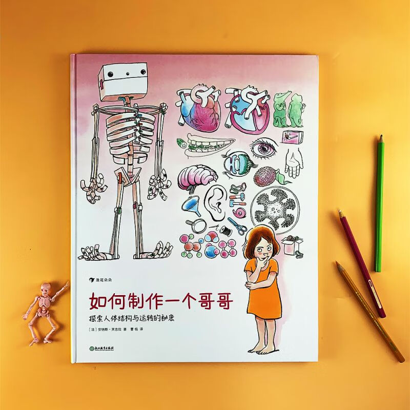 如何制作一个哥哥 人体结构书儿童3-6-8-12岁知识百科书籍 科学益智科普绘本少儿读物人体运转的秘密奥秘我们的身体大开本科普绘本