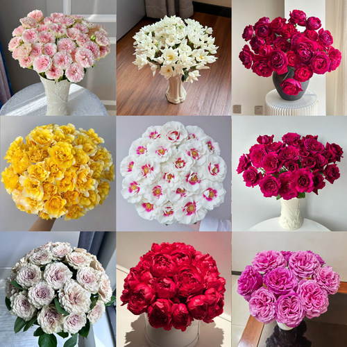 【德芮尔玫瑰鲜花】40-50CM云南基地直发新鲜水养鲜花家用瓶插花 - 图0