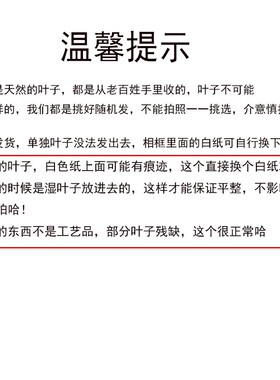 西藏林芝墨脱天然莲花r叶精挑发货送礼送朋友送同学送老师送女友