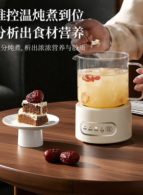 多功能玻璃养生壶电热杯