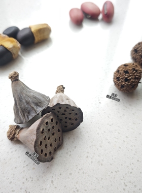 植物果实豆荚娃手工diy材料包饰品diy材料摇铃耳饰发夹幼儿环创