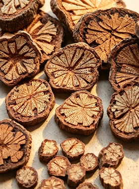 天然血藤花木片手工幼儿园diy手工装饰干果材料中药手工diy干花