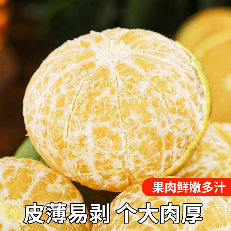 正宗广西皇帝柑新鲜橘子水果当季现摘蜜桔子9斤贡柑甜橘老树大果,淘宝优惠券,粉丝福利购,淘宝优惠卷