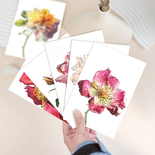 罗西·桑德斯水彩花卉明信片临摹卡片32张高清画作文创留言卡油画作品唯美文艺小清新精美卡片创意礼物世界名画新年贺卡片 - 图0