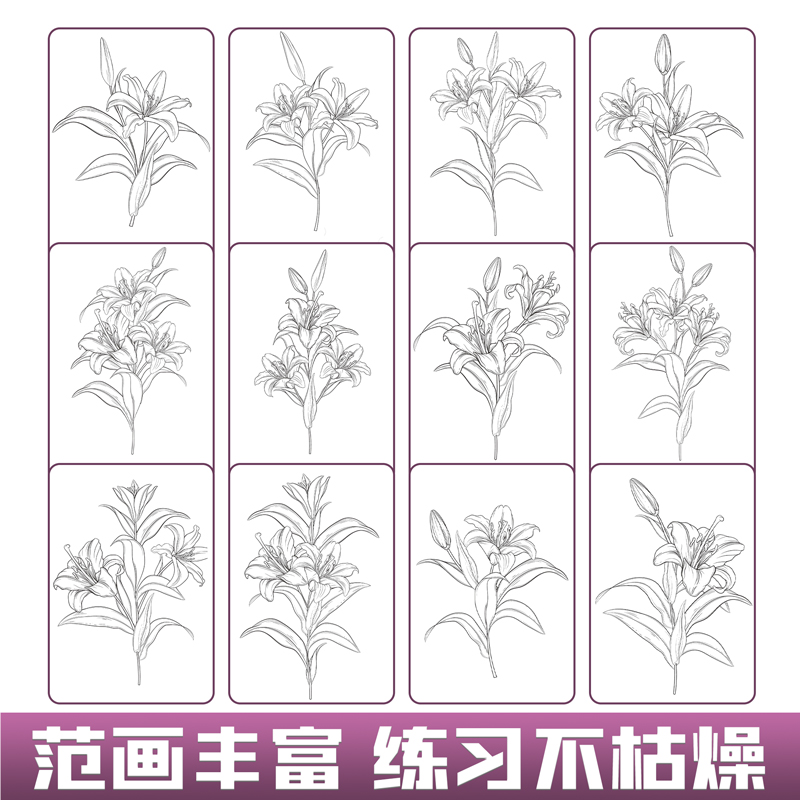 中国画白描花卉临摹画册工笔画底稿画稿线稿牡丹荷花儿童素材控笔训练习画画入门自学零基础成人解压画线条绘画