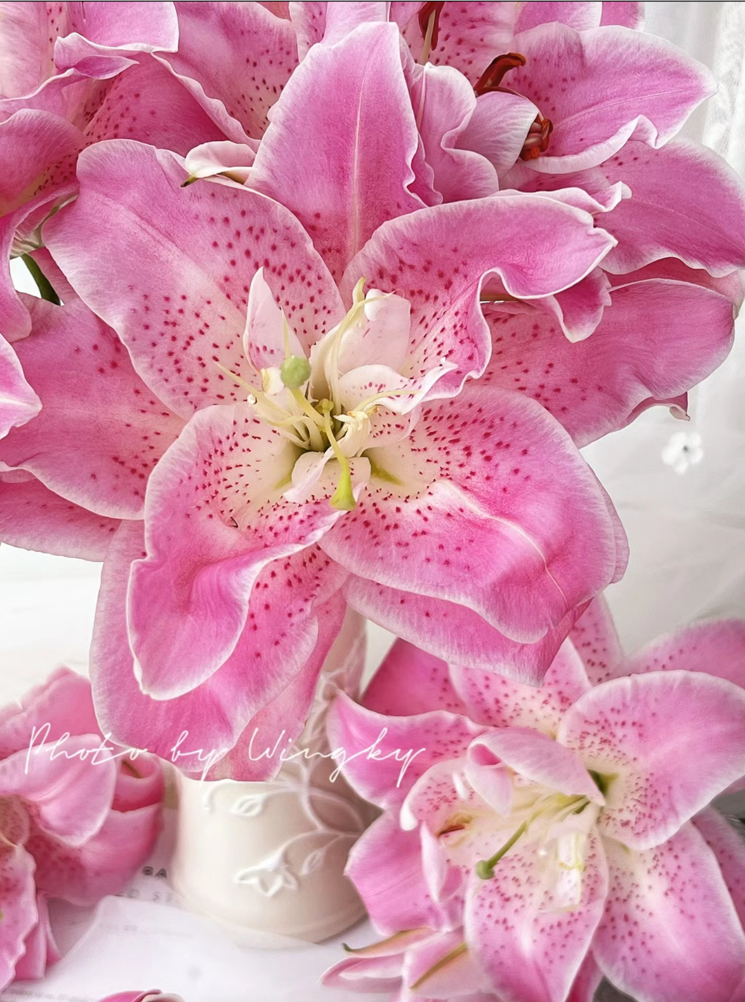 【粉拉菲】重瓣香水百合花云南鲜花昆明基地直发日常水养鲜花速递,淘宝优惠券,粉丝福利购,淘宝优惠卷