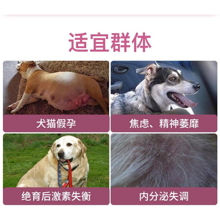 蓝特斯衡宝狗狗调节调理激素平衡宠物内分泌失衡猫咪假孕缓解焦虑 - 图0