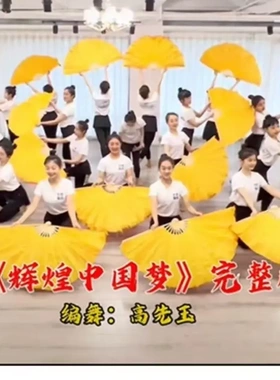 双面大扇子中团体操太极功夫正宗