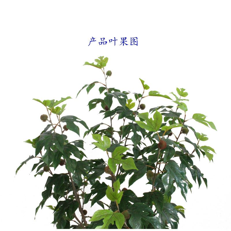 仿真植物构叶树迷你小盆栽绿植楮树褚桃园林客厅摆设装饰厂家-图3