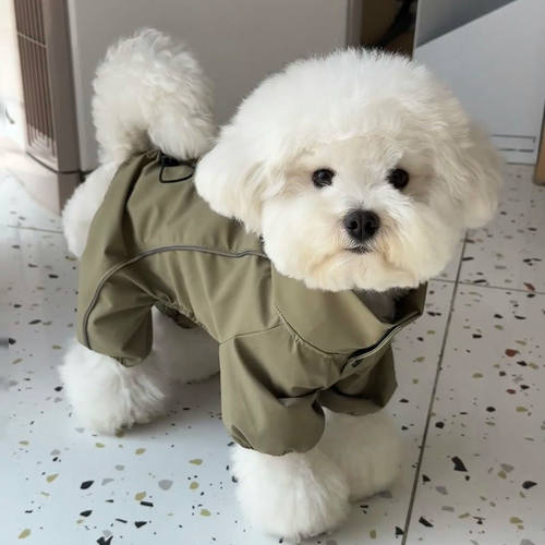 春秋狗狗衣服四脚可爱外出小狗泰迪博美帅气春秋款网红防晒防尘 - 图0